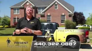 Prevent Pest Control (PPCBUGS30)