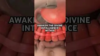 What REALLY Happens in a 3-Day Water Fast 💧(60s Breakdown)
