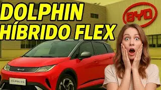 BYD Dolphin H&iacute;brido-Flex: o que sabemos sobre o novo 