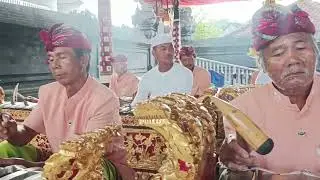 Tabuh yadnya oleh sekaa gong genta buana batu gaing kaje tabanan di pure luhur tanah lot