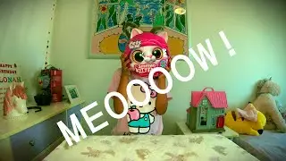 Pets Alive Smitten Kitten Review