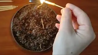 Magic training. Lesson 1