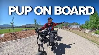 Puppy&rsquo;s First E-Bike Ride Around a Colorado Lake 🐶🚴&zwj;♂️