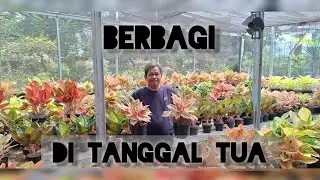 KHUSUS TANGGAL TUA !!! DISKON DAN HADIAH MENARIK !!!