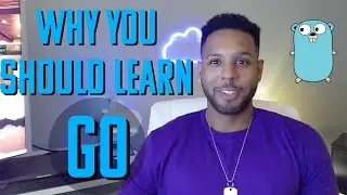 Why Go Is The Best Programming Language To Learn In 2021