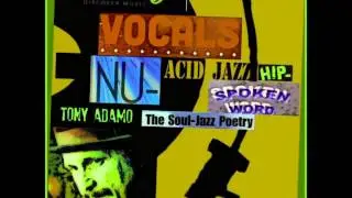 Tony Adamo - B.B. King Blues