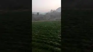 #Saudi Arabia The green 🍏🍏🍎 Village #Tamil nadu boy