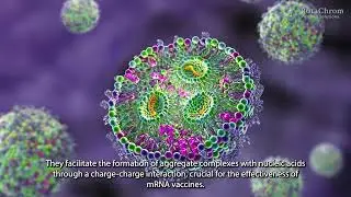 Advancing Nanoparticle Research: A breakthrough in purification with CPC chromatography