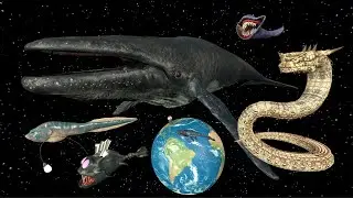 Space Whale Vs J&ouml;rmungandr | 3D Epic Sea Monster Size Animation Comparison