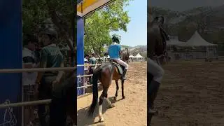 Legendary Indian Horses! IHOA 9th Showa #music #horse #race #show #jump #awesome #viralshort #india