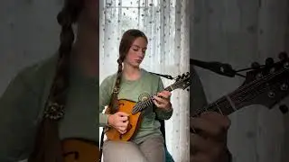 Fun Mandolin Solo🎶