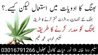 Bhang ko Modabir Karny Ka Tariqa.|| Bhang. Cannabis Benefits.| بھنگ کو مدبر کرنے کا طریقہ