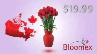 Edmonton Florists Valentines Day Call 780-628-4727 Bloomex Flowers