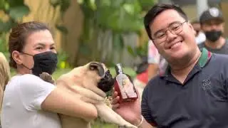 Philippine Pug Lovers Club - 10th Anniversary