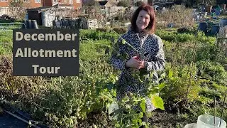 December Allotment Tour - Allotment Gardening UK 2021