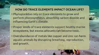 How Do Trace Elements Impact Ocean Life? - The Marine Life Explorer