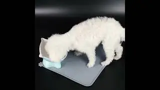 Waterproof Pet Mat For Dogs And Cats Pure Color Silicone Pet Food Mat