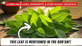 How to Use Sidr Leaves to Help Your Hair, & Black Magic