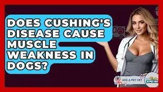 Does Cushing's Disease Cause Muscle Weakness In Dogs? - Ask A Pet Vet