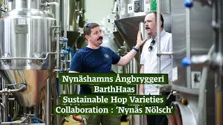 Nyn&auml;shamns &Aring;ngbryggeri // BarthHaas : Sustainable Hop Varieties Collaboration : &lsquo;Nyn&auml;s N&ouml;lsch&rsquo;