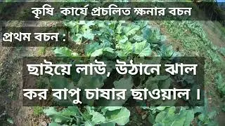খনার বচন । Khonar bochon