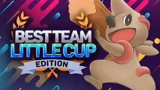 Best Team | Little Cup Edition