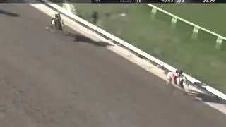 Dare To Dream Stable's Jockamo's Song wins at Fair Grounds Race Course on 11/22/15
