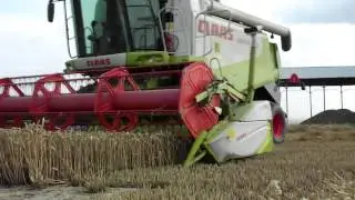 Żniwa w Kombinacie Rolnym Kietrz [2012]