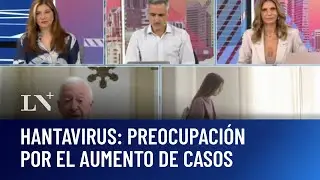 Hantavirus: por qué aumentaron las muertes en los últimos meses