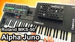 ROLAND Alpha Juno / MKS-50 - Ambient piano music soundscape 【SYNTH DEMO】