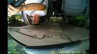 VID 428