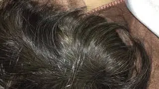 Heavy breathing with sounds guinea pig brie