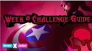 Week 8 Challenge Guide