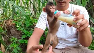 Finally we can always meet Chiko 