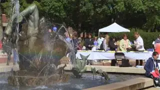 Ann Arbor, Michigan: Arts and Culture