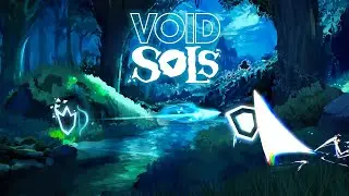 what to expect from Void Sols