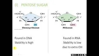 molecular basis of inheritance part1