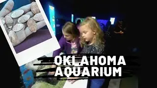 Oklahoma Aquarium in Tulsa Oklahoma