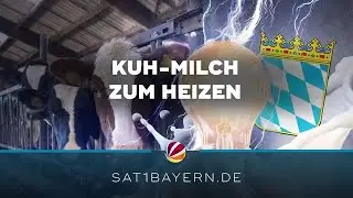 Kuh-Milch zum Heizen? Gemeinde in Oberbayern ist Vorreiter