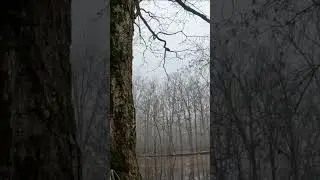 This was so perfect&hellip;. 🔥🦆😱 #shorts #duckhunting