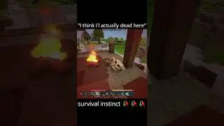 Hytale Funny Moments