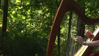 Princess Mononoke Ending Song Harp Cover - Nobody Knows Your Heart