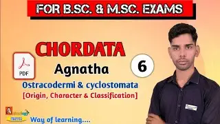 |Chordata|Agnatha|Ostracodermi|Cyclostomata|Petromyzon|Myxine| Characters and Classification|Class-6