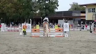 European Haflinger Championship 2018, Showjumping YH