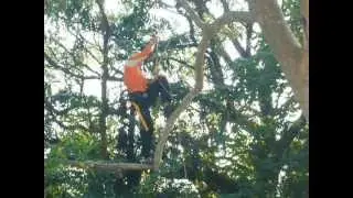 HKTCC 2010 Work Climb - Jordan Glossop.wmv