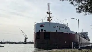 CSL WHITEFISH BAY 🇨🇦 (Self-Discharging Bulk Carrier) Sailing Through The Welland Canal