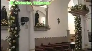 Paseando en el Acebuche