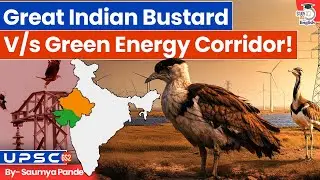 Wildlife vs Clean Energy: Threat Looms over India’s Rare Bird?! | By Saumya Pande