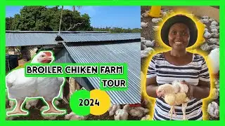 BROILER CHIKEN FARM TOUR | 2024
