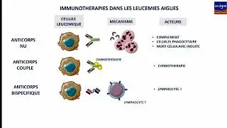 Colloque 